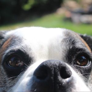 Meet your Posher, Dani